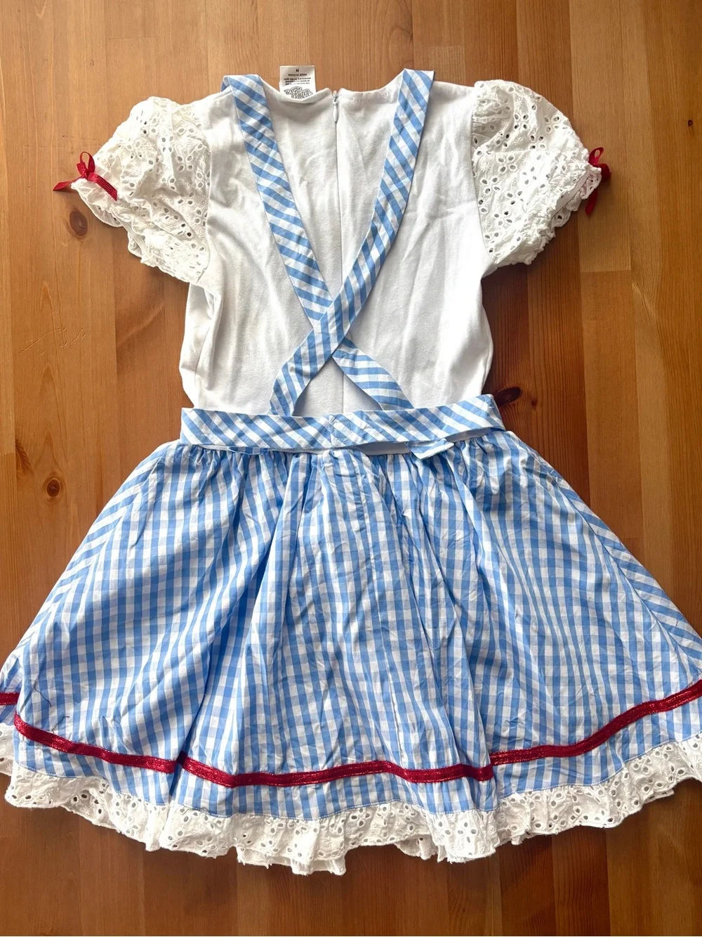 Wizard Of Oz charming blue